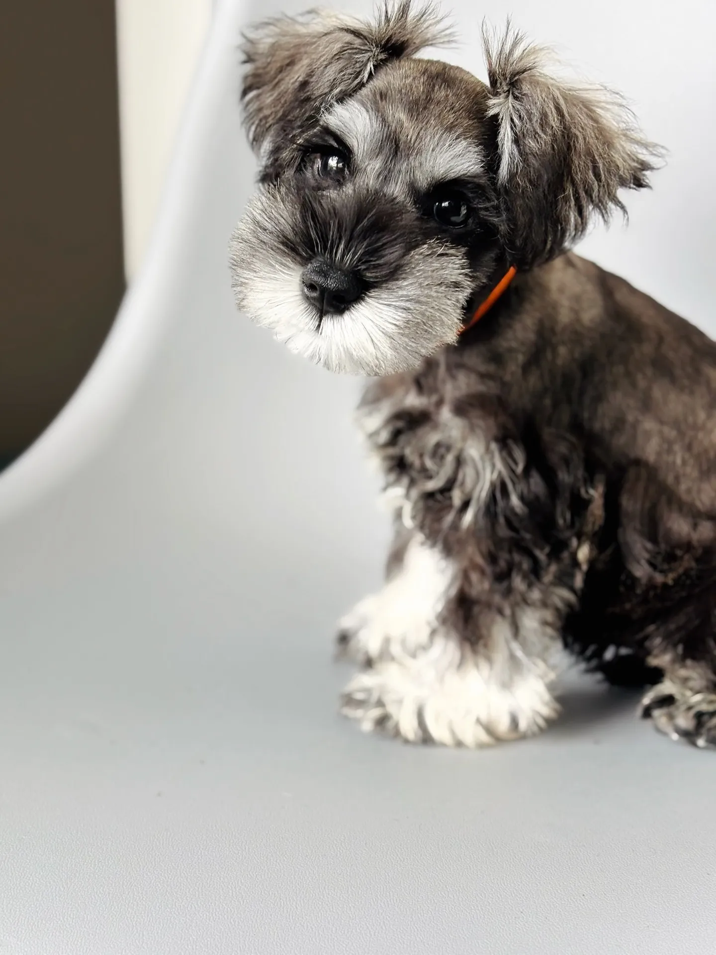 2025/05/14生まれ　男の子