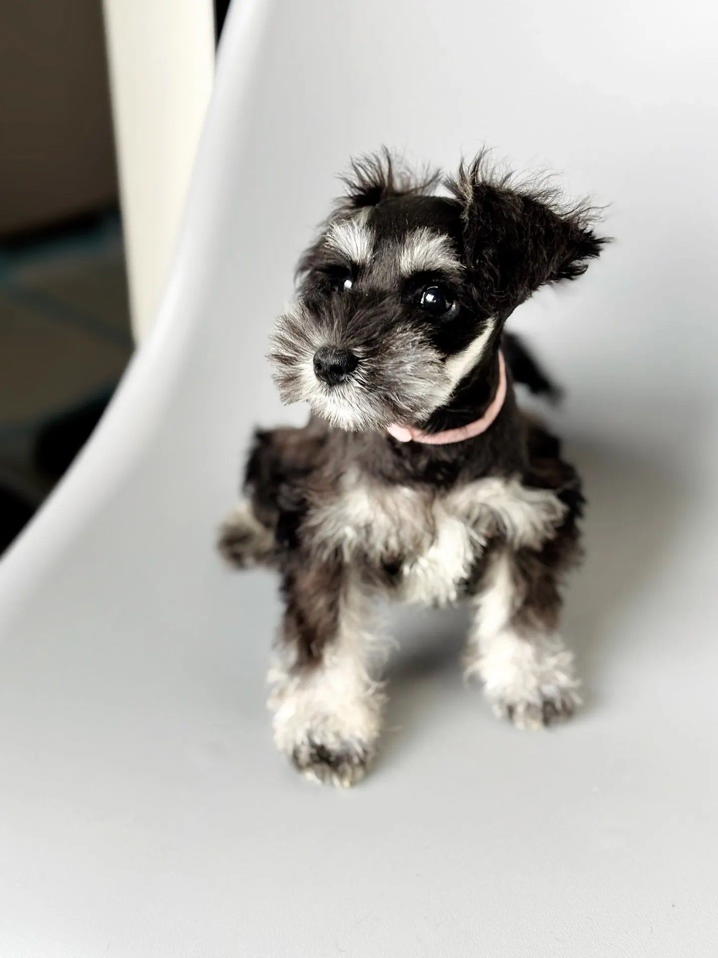 2025/05/14生まれ　女の子