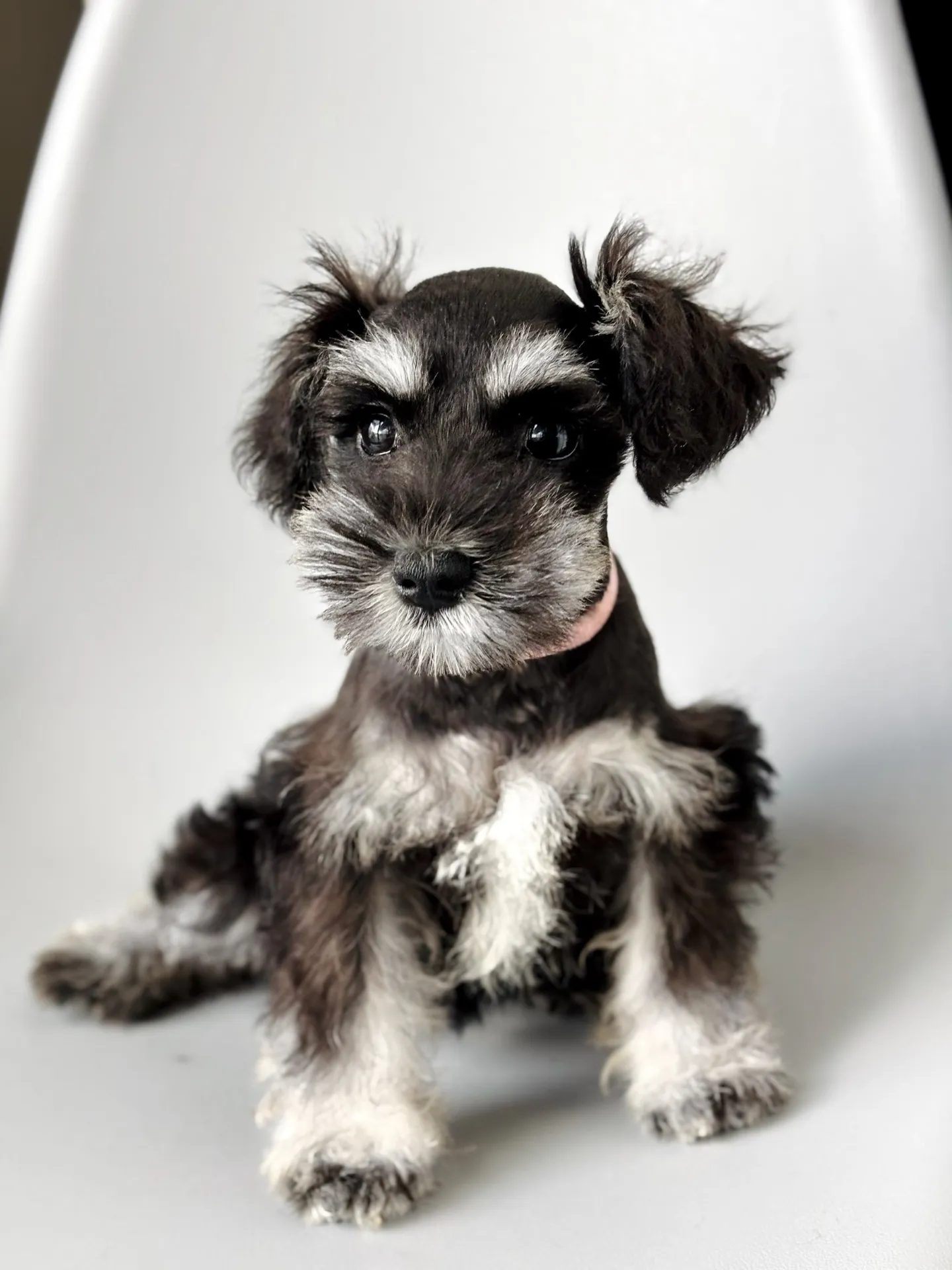 2025/05/14生まれ　女の子