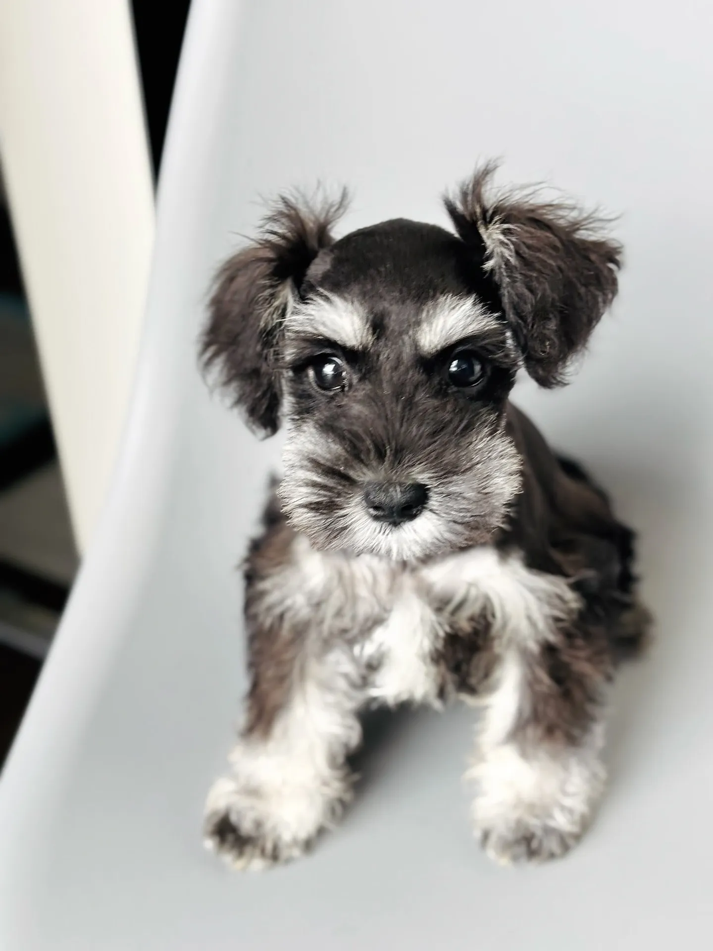 2025/05/14生まれ　女の子