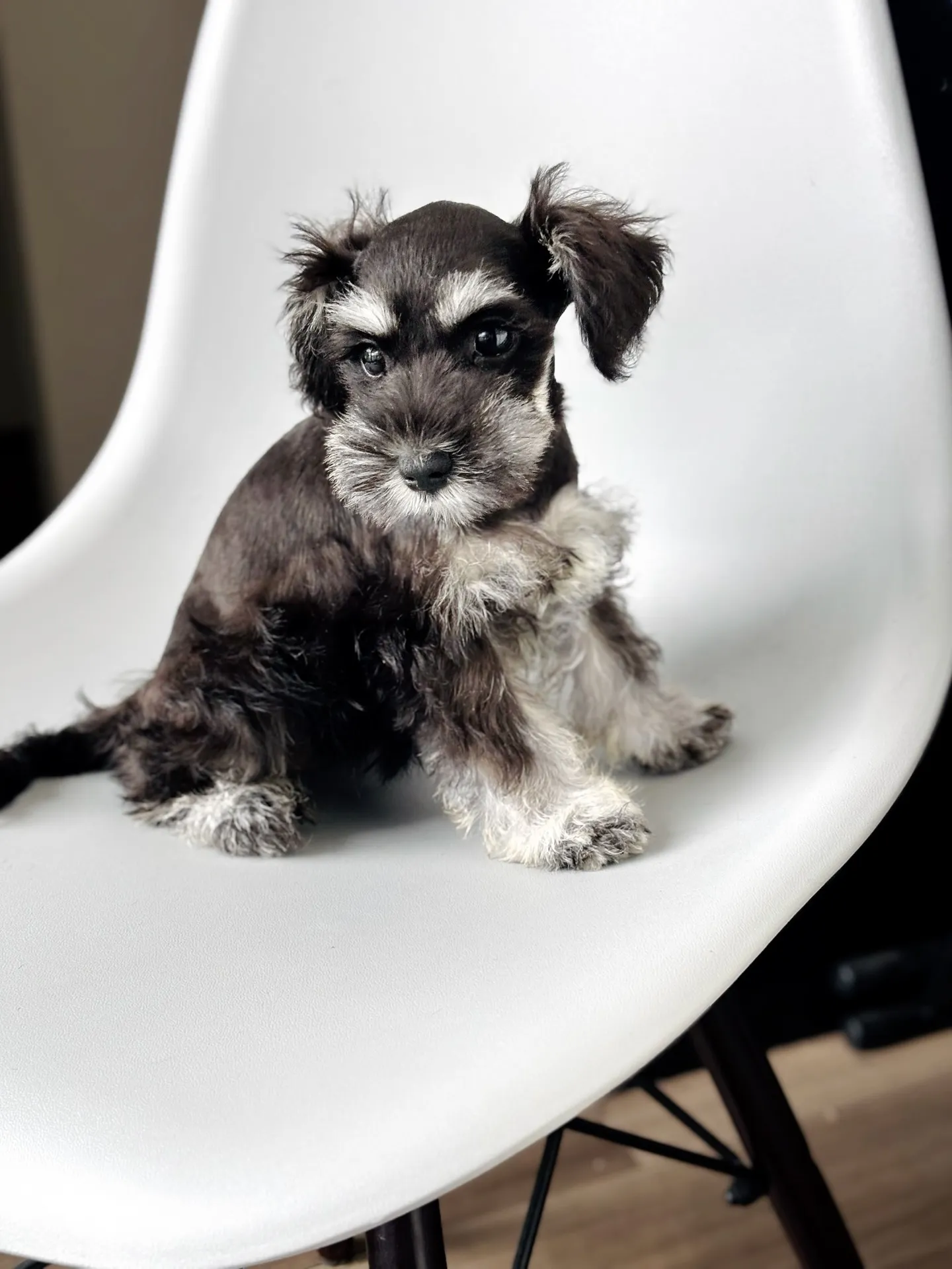 2025/05/14生まれ　女の子