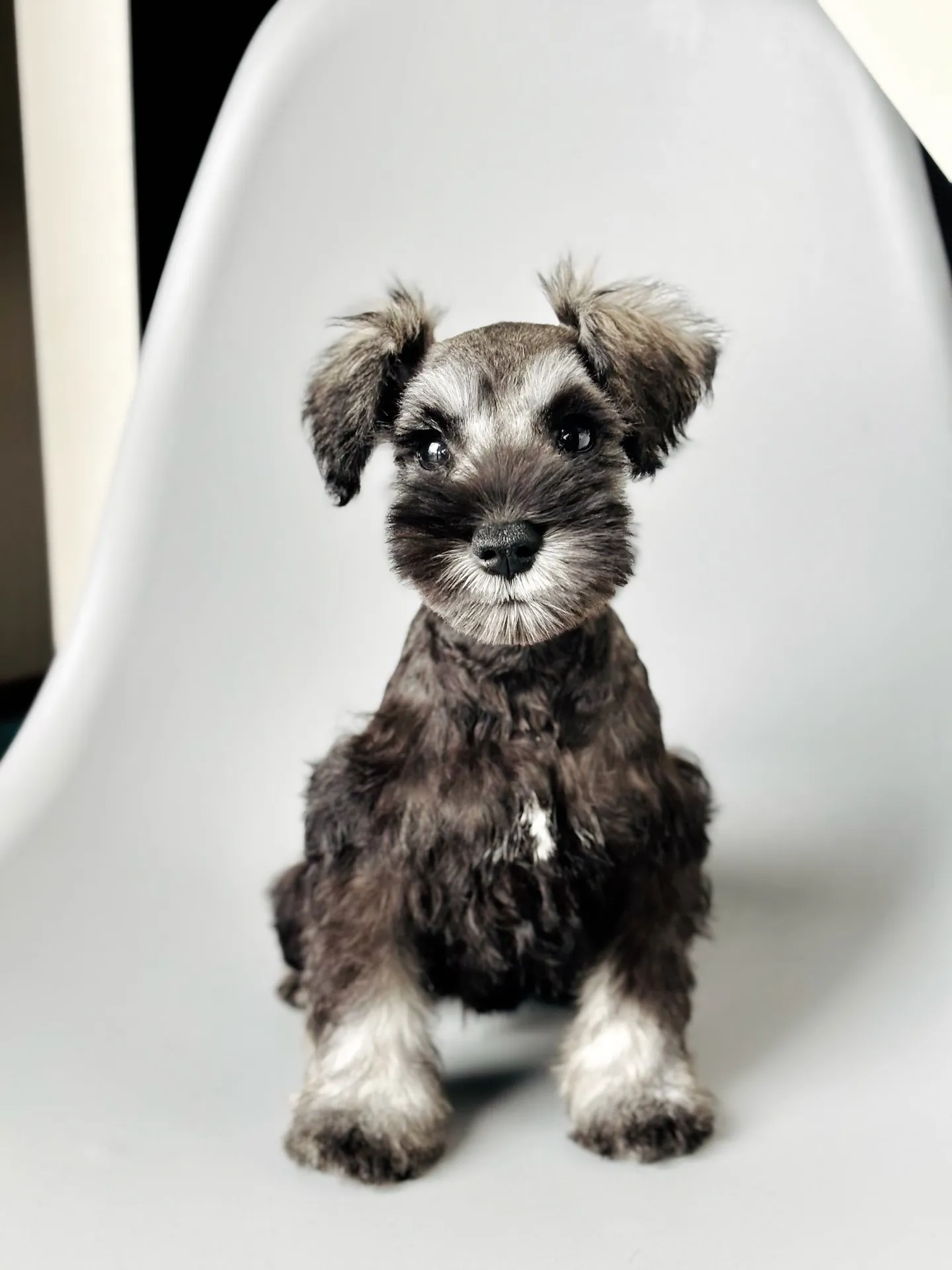 2025/04/21 生まれ　男の子