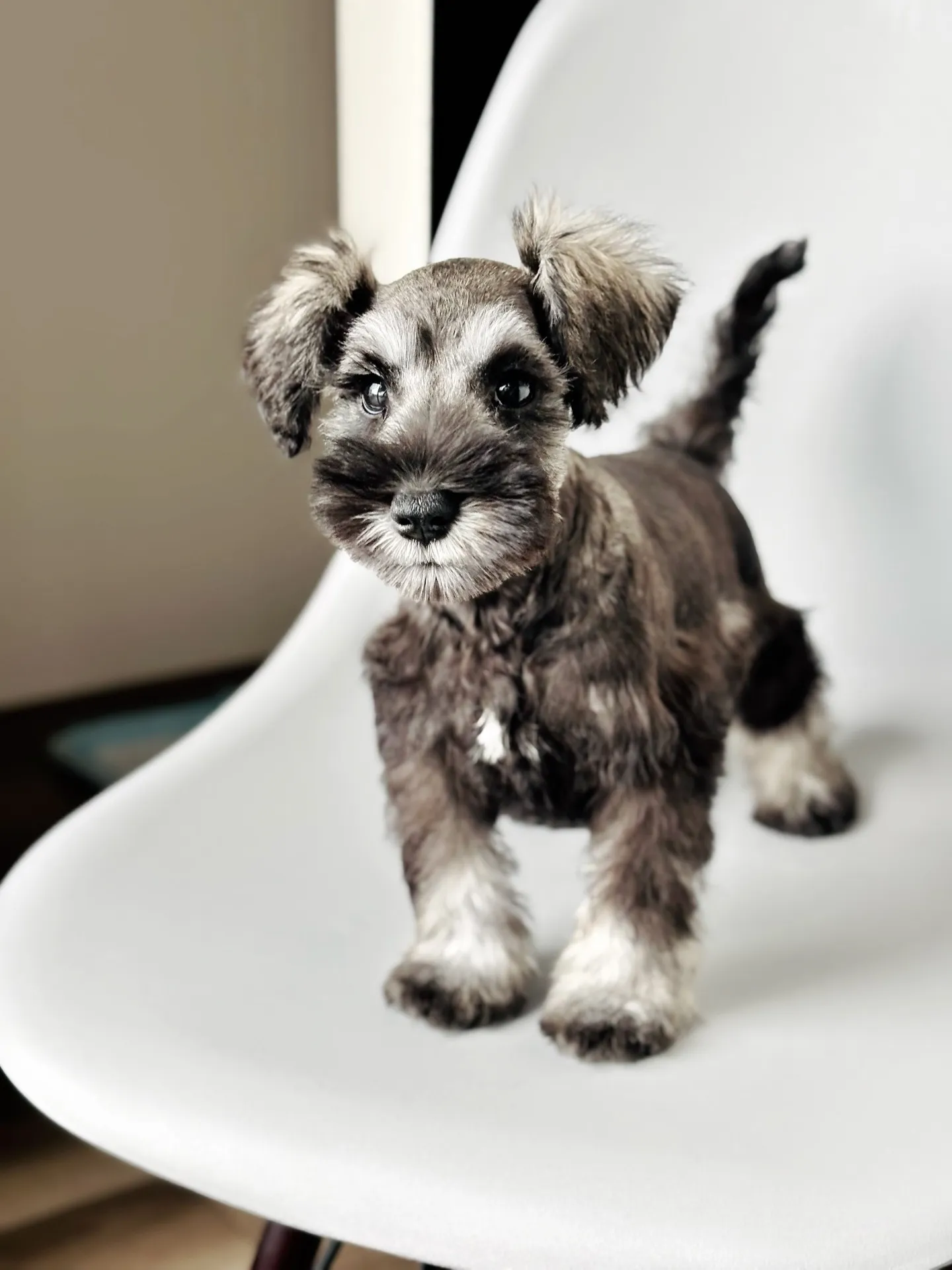 2025/04/21 生まれ　男の子