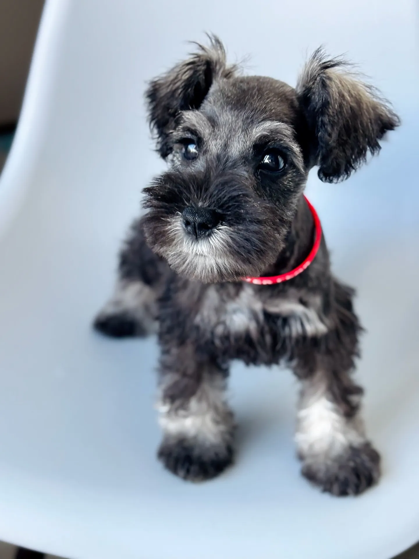 2025/04/21 生まれ　男の子