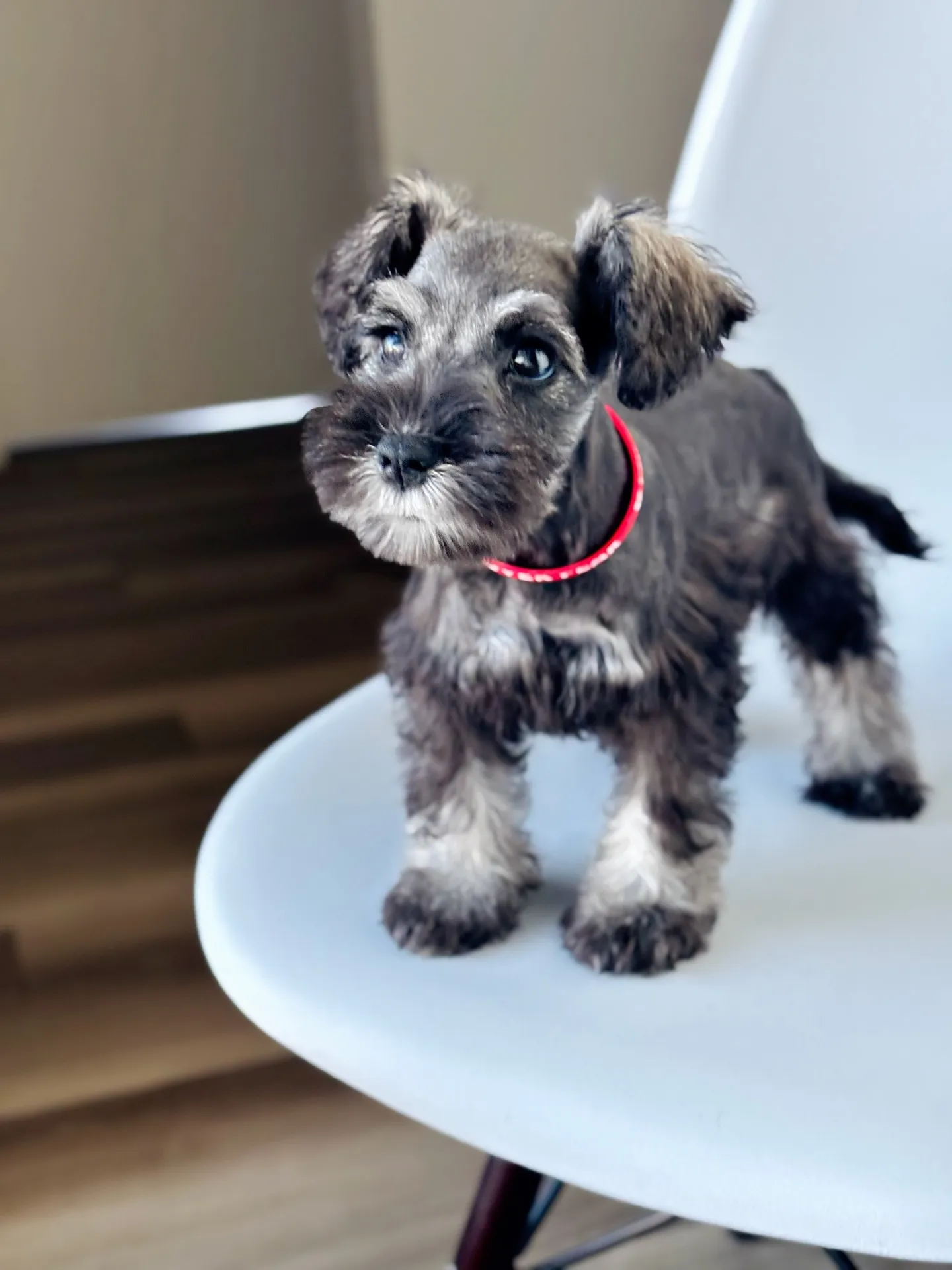 2025/04/21 生まれ　男の子