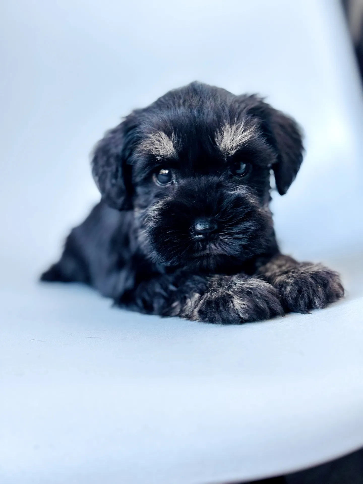 2025/06/ 18生まれ　男の子