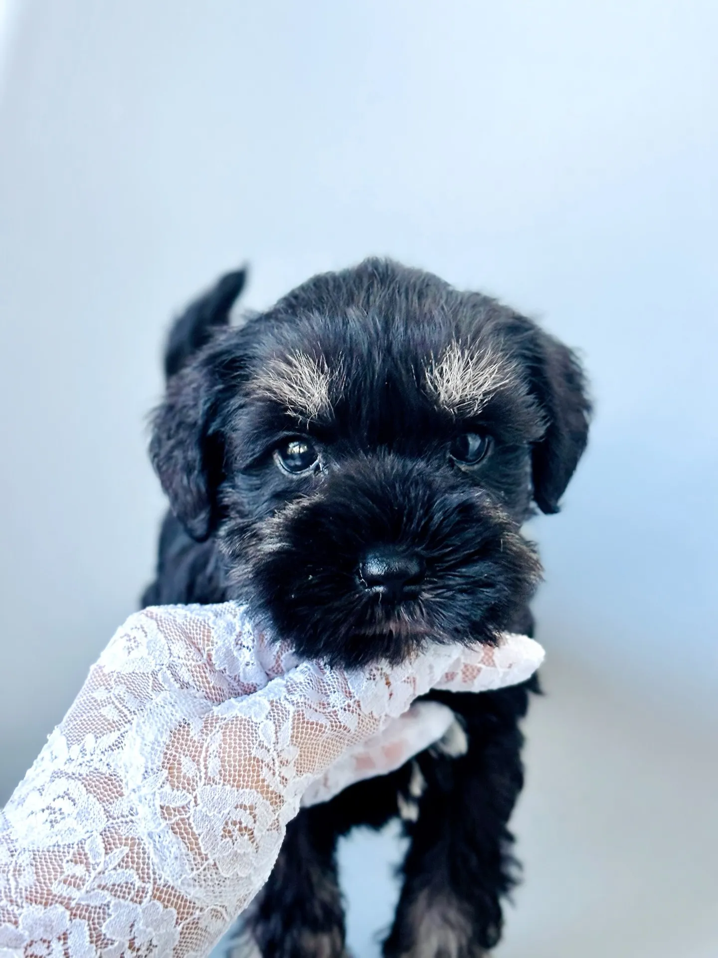 2025/06/ 18生まれ　男の子