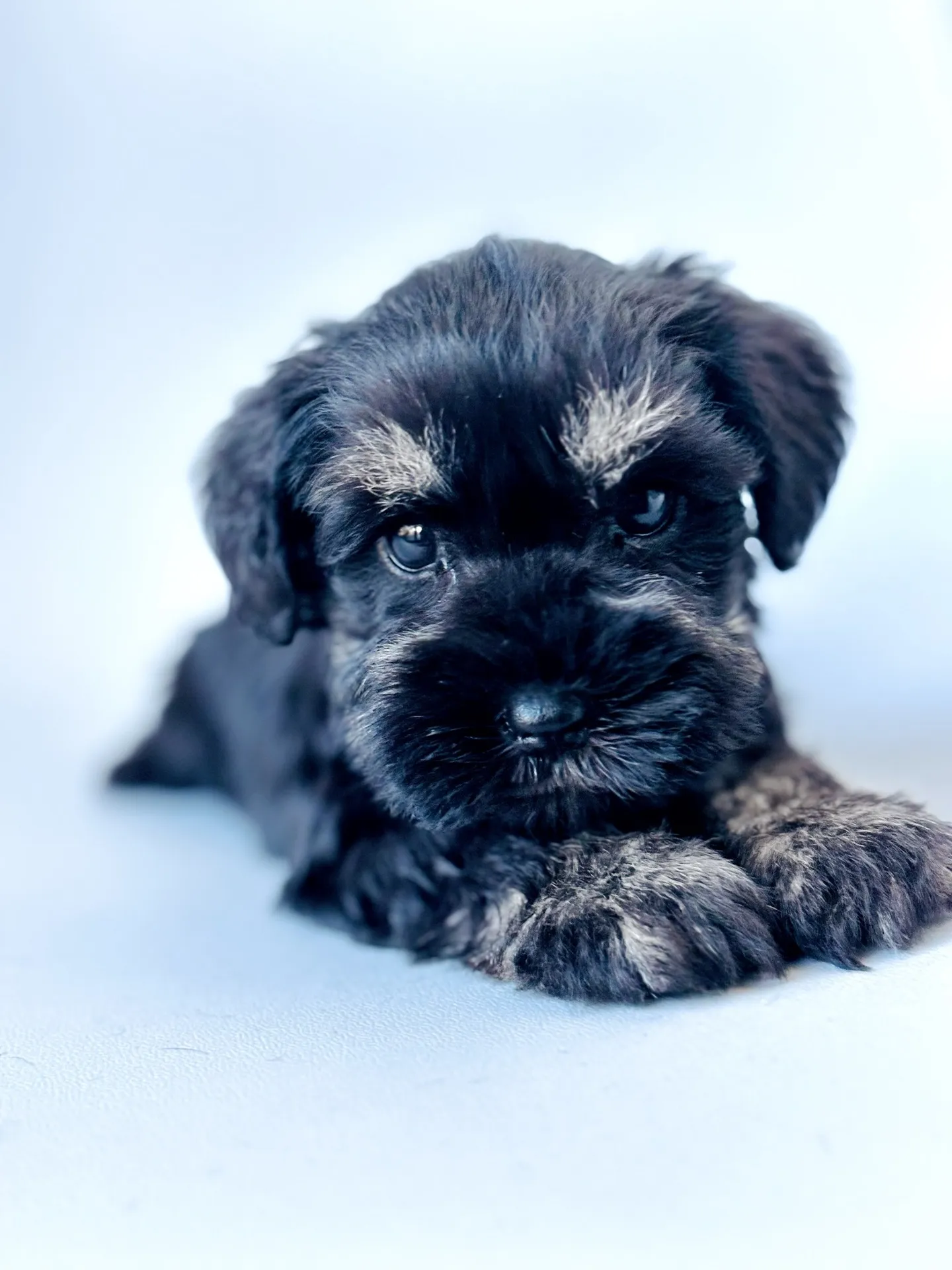 2025/06/ 18生まれ　男の子