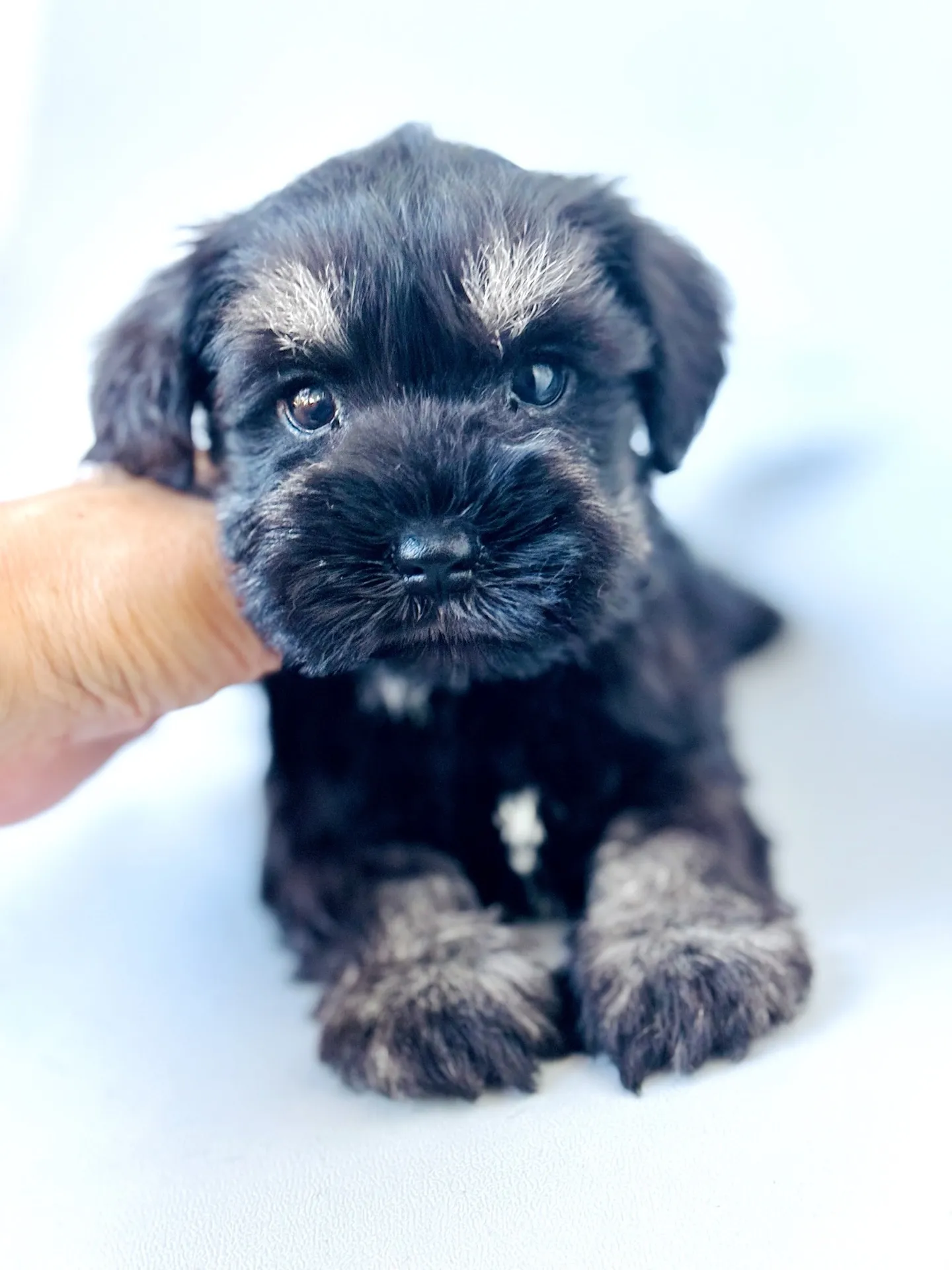 2025/06/ 18生まれ　男の子