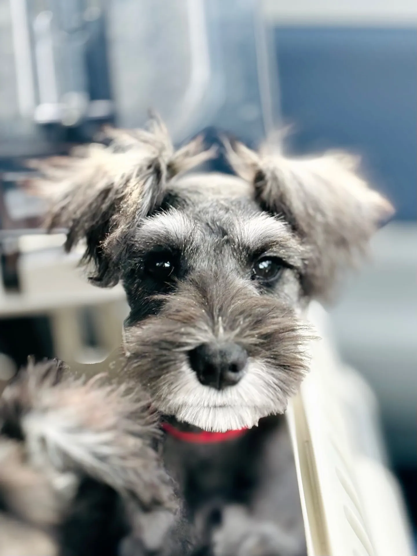 2025/04/21 生まれ　男の子