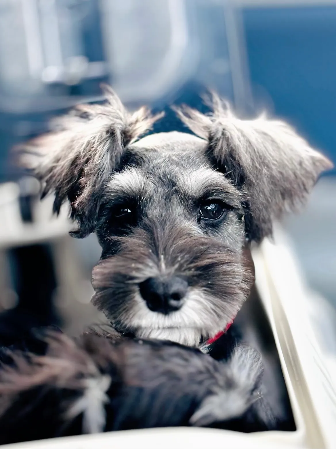 2025/04/21 生まれ　男の子