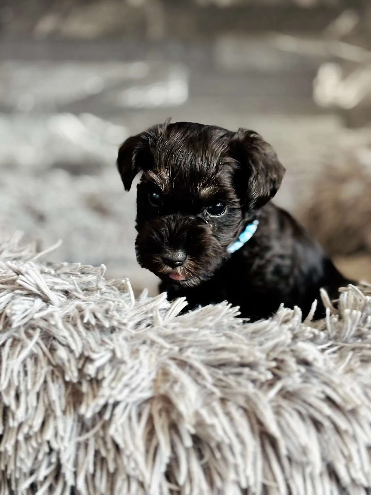 2025/09/24生まれ　男の子