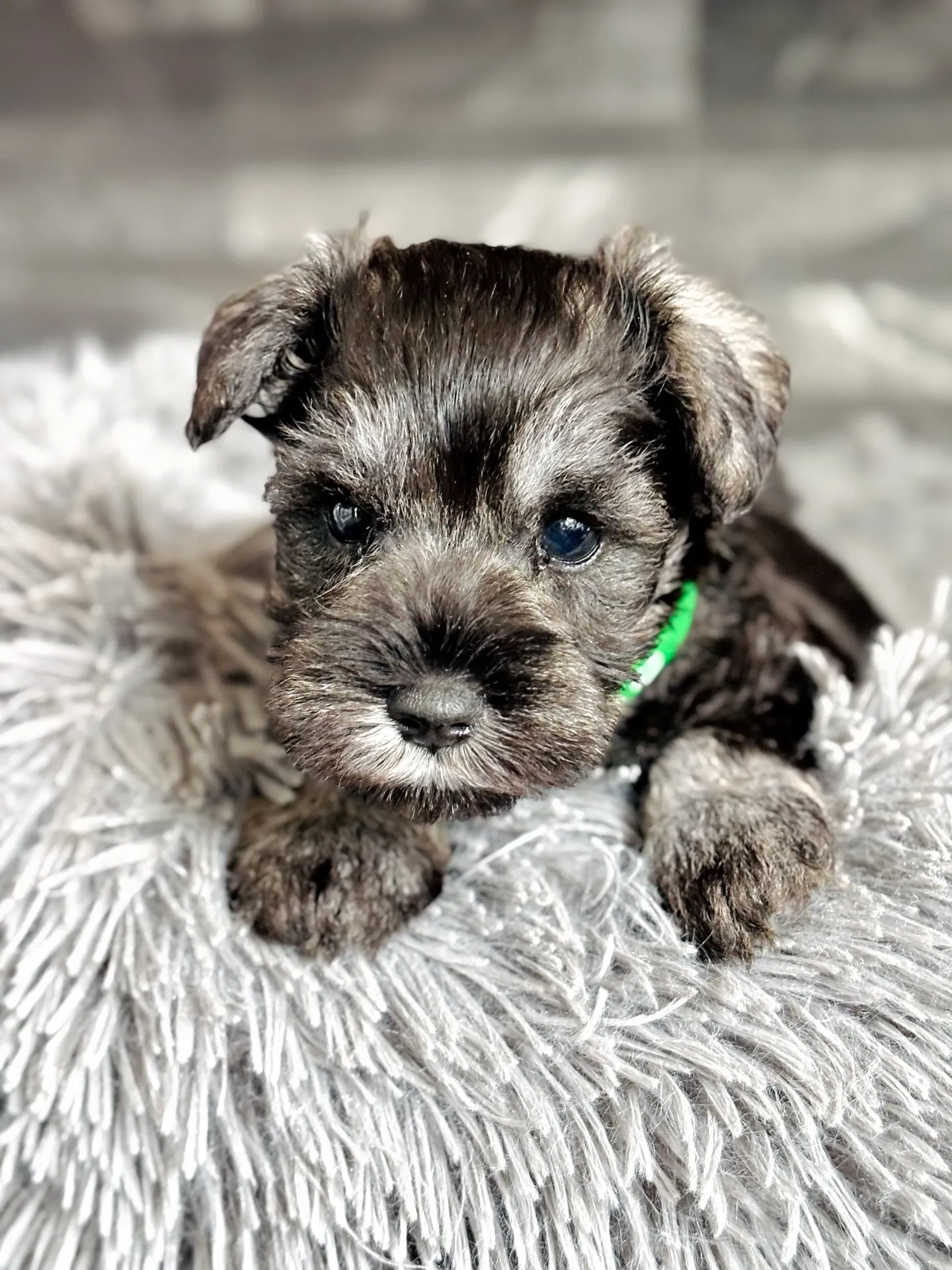 2025/09/24生まれ　男の子