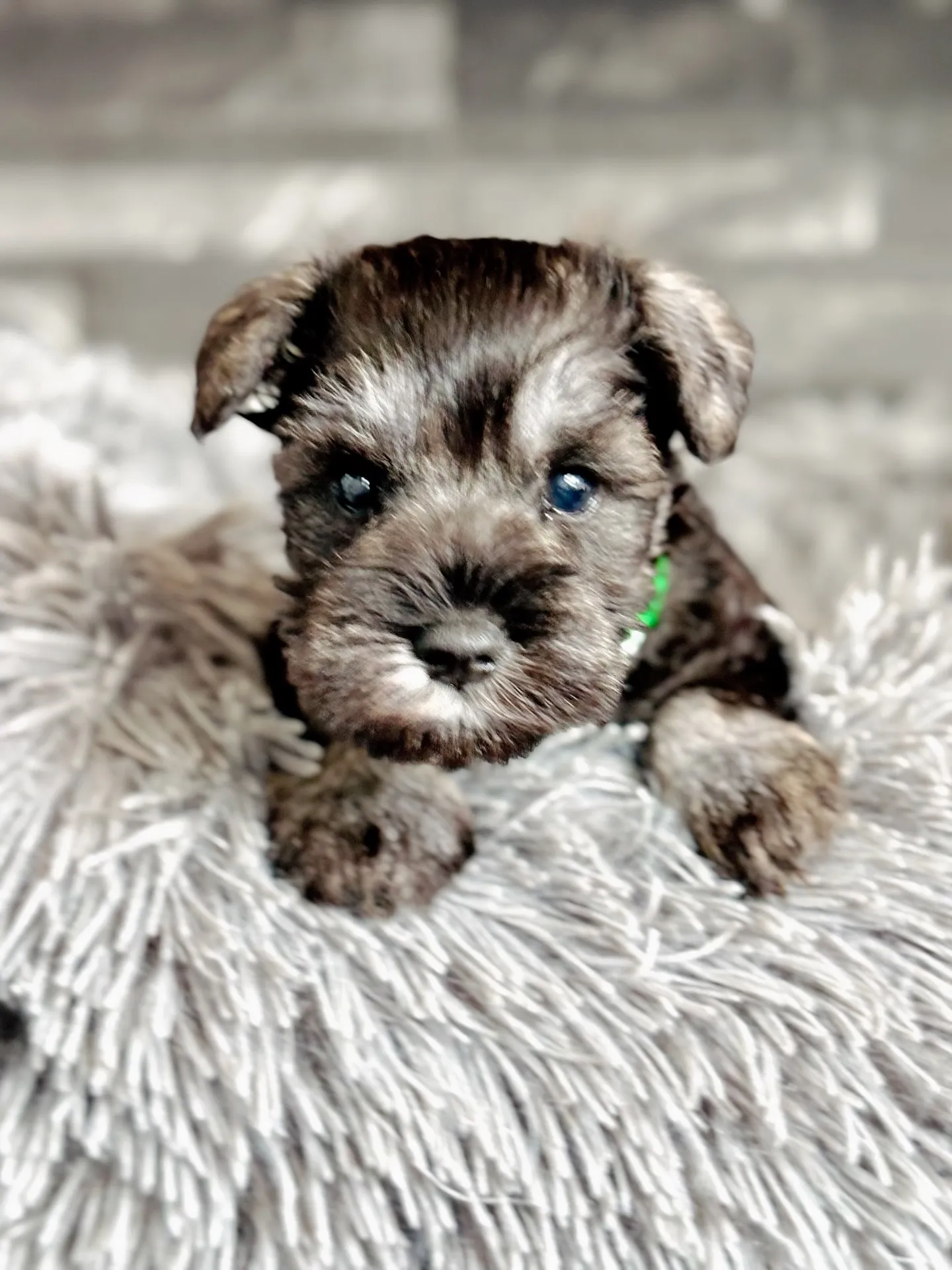 2025/09/24生まれ　男の子