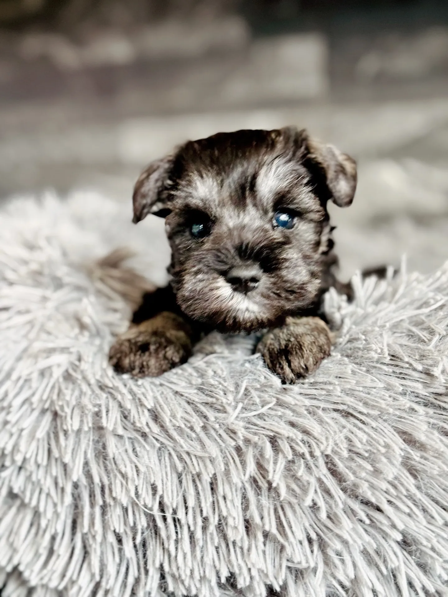 2025/09/24生まれ　男の子