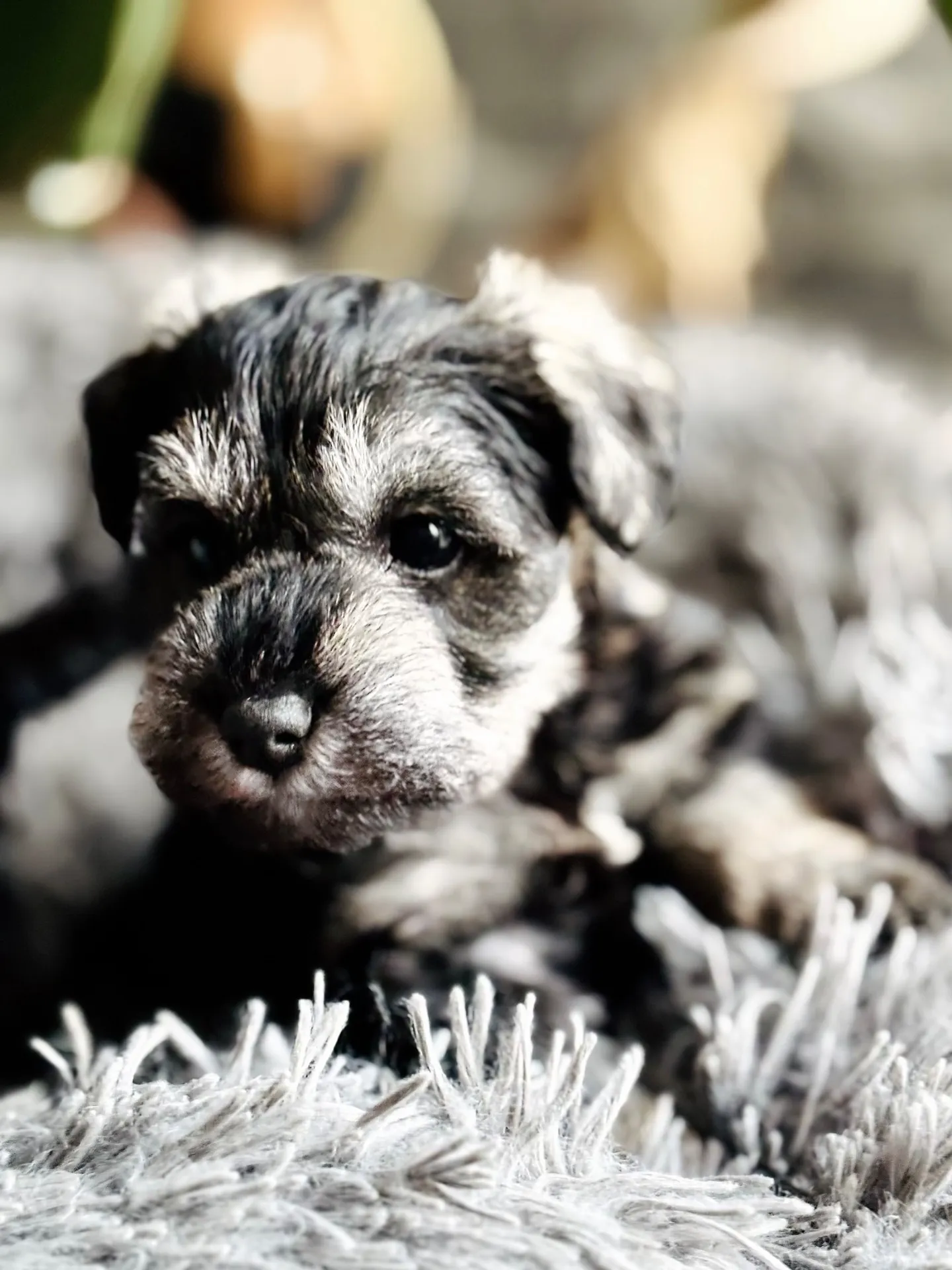 2025/10/10生まれ　女の子