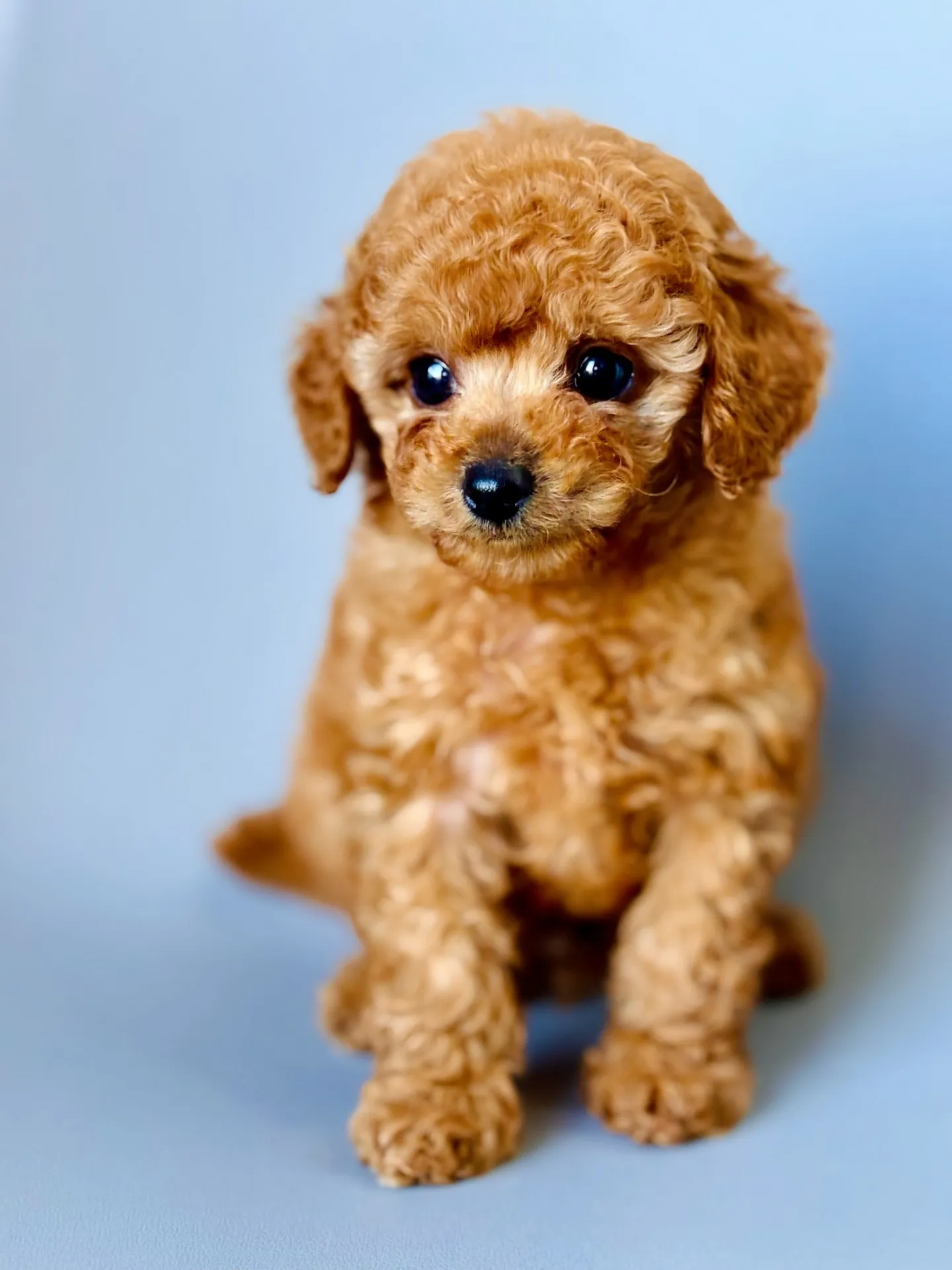 2025/11/20生まれ 男の子