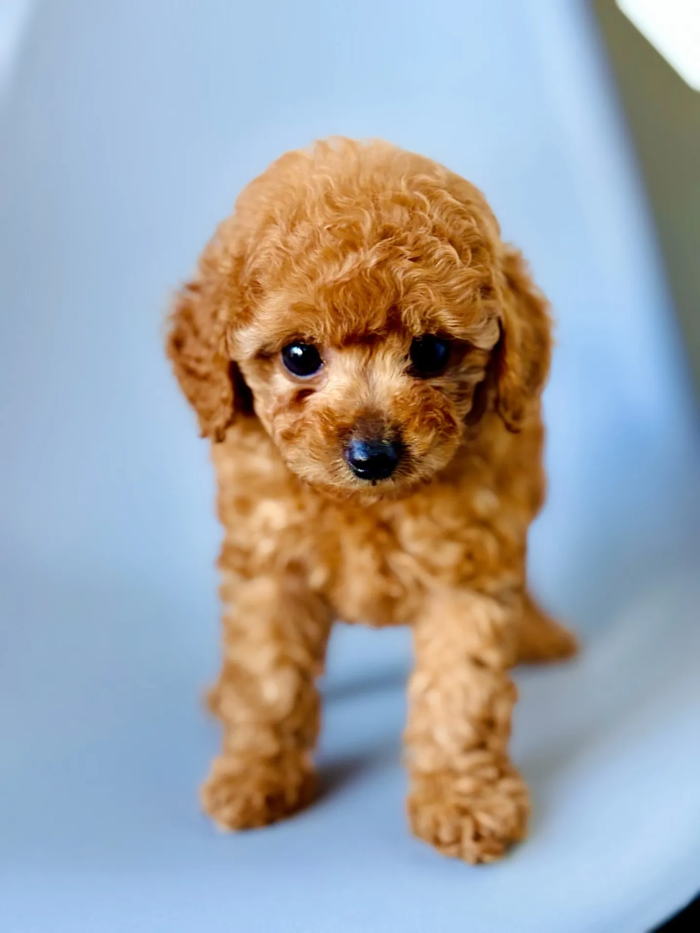 2025/11/20生まれ 男の子