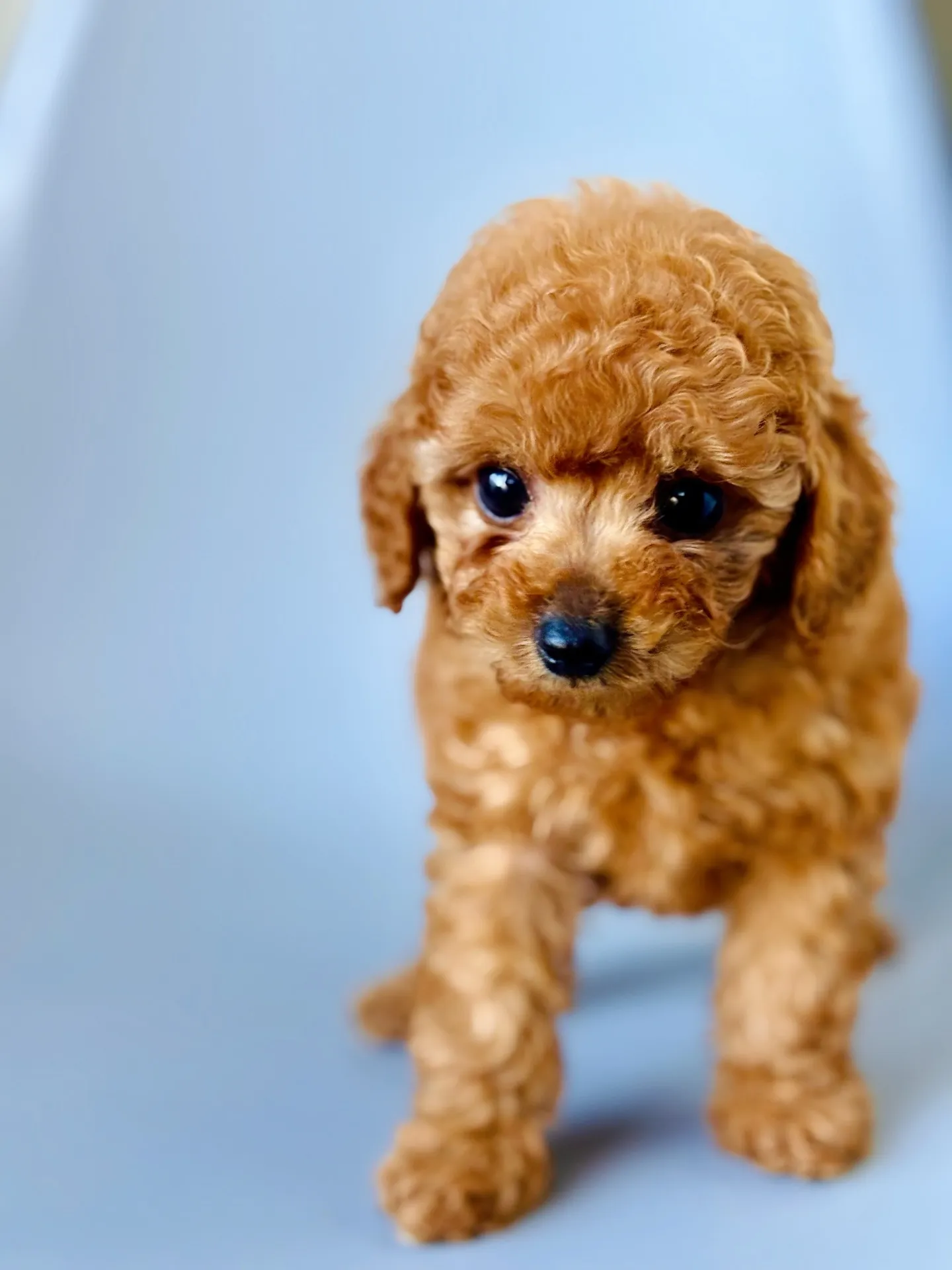 2025/11/20生まれ 男の子