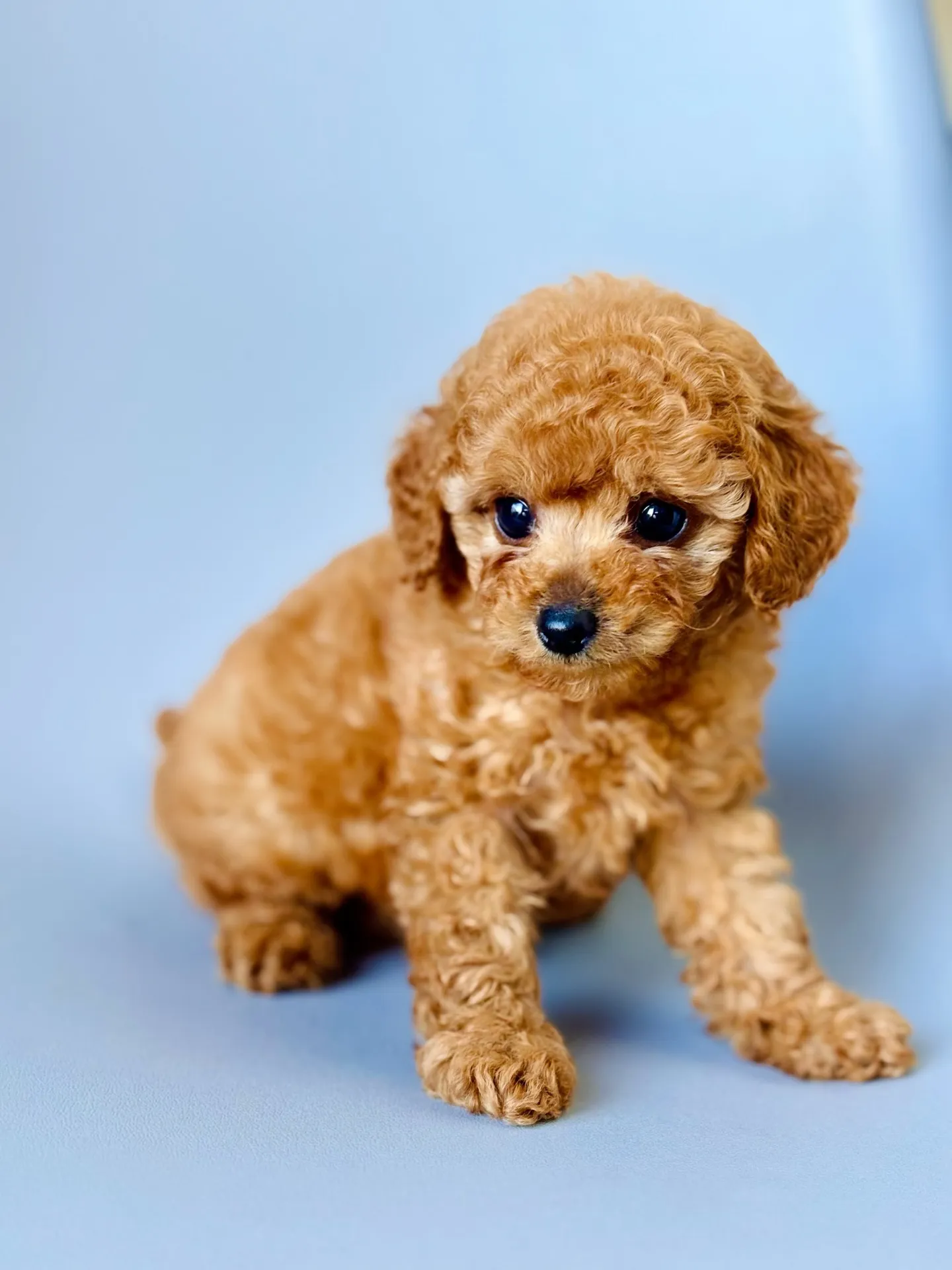 2025/11/20生まれ 男の子