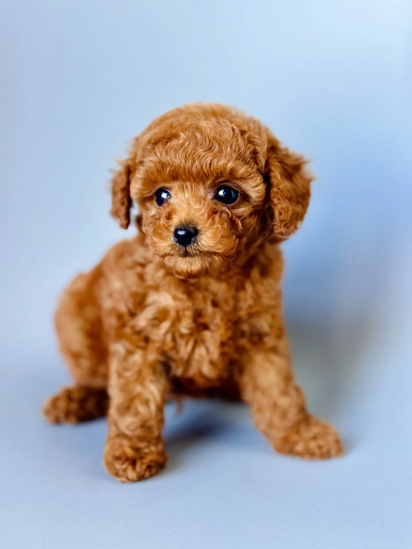 ⭐2025/11/20生まれ 男の子