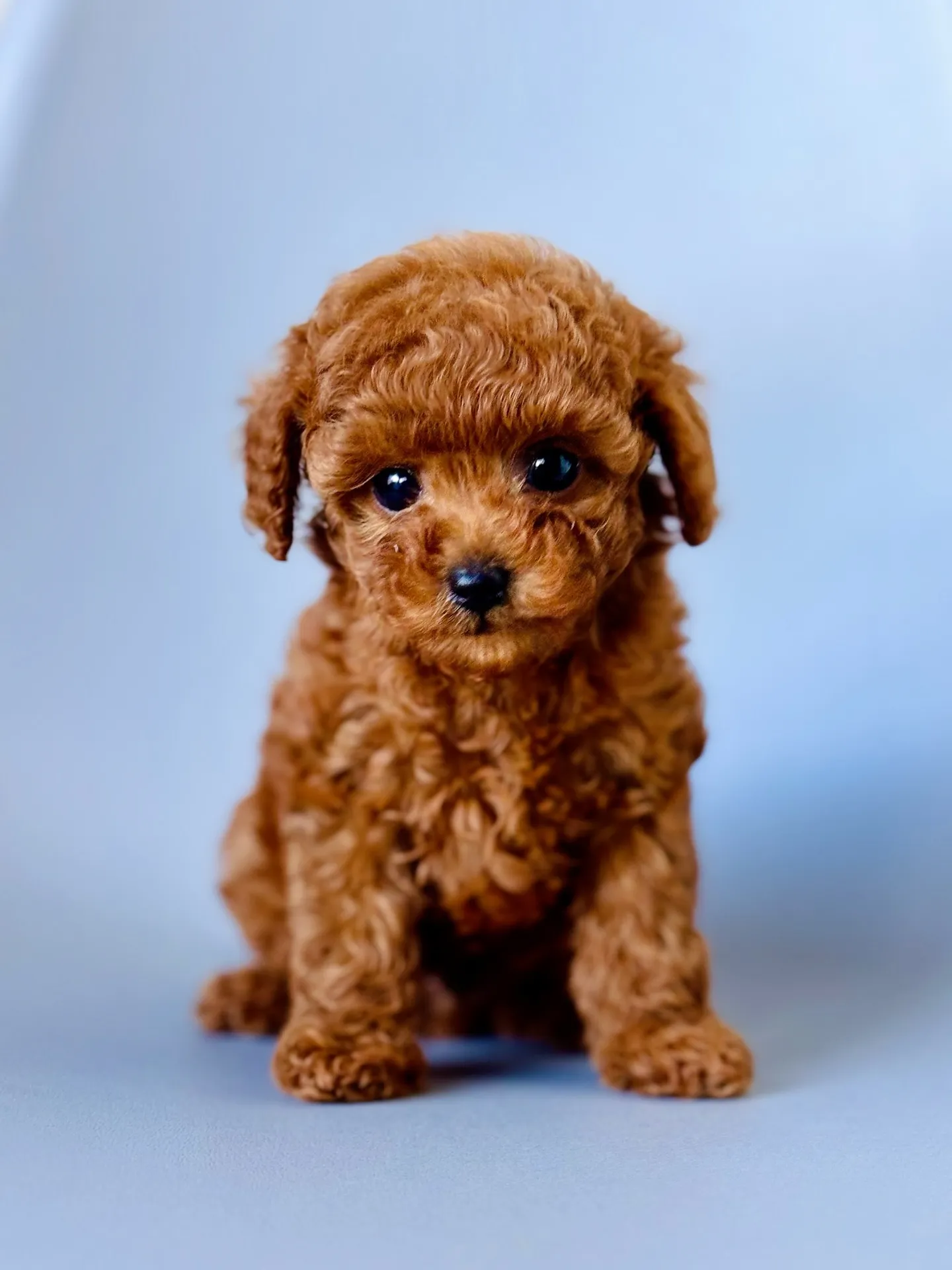 ⭐2025/11/20生まれ 男の子