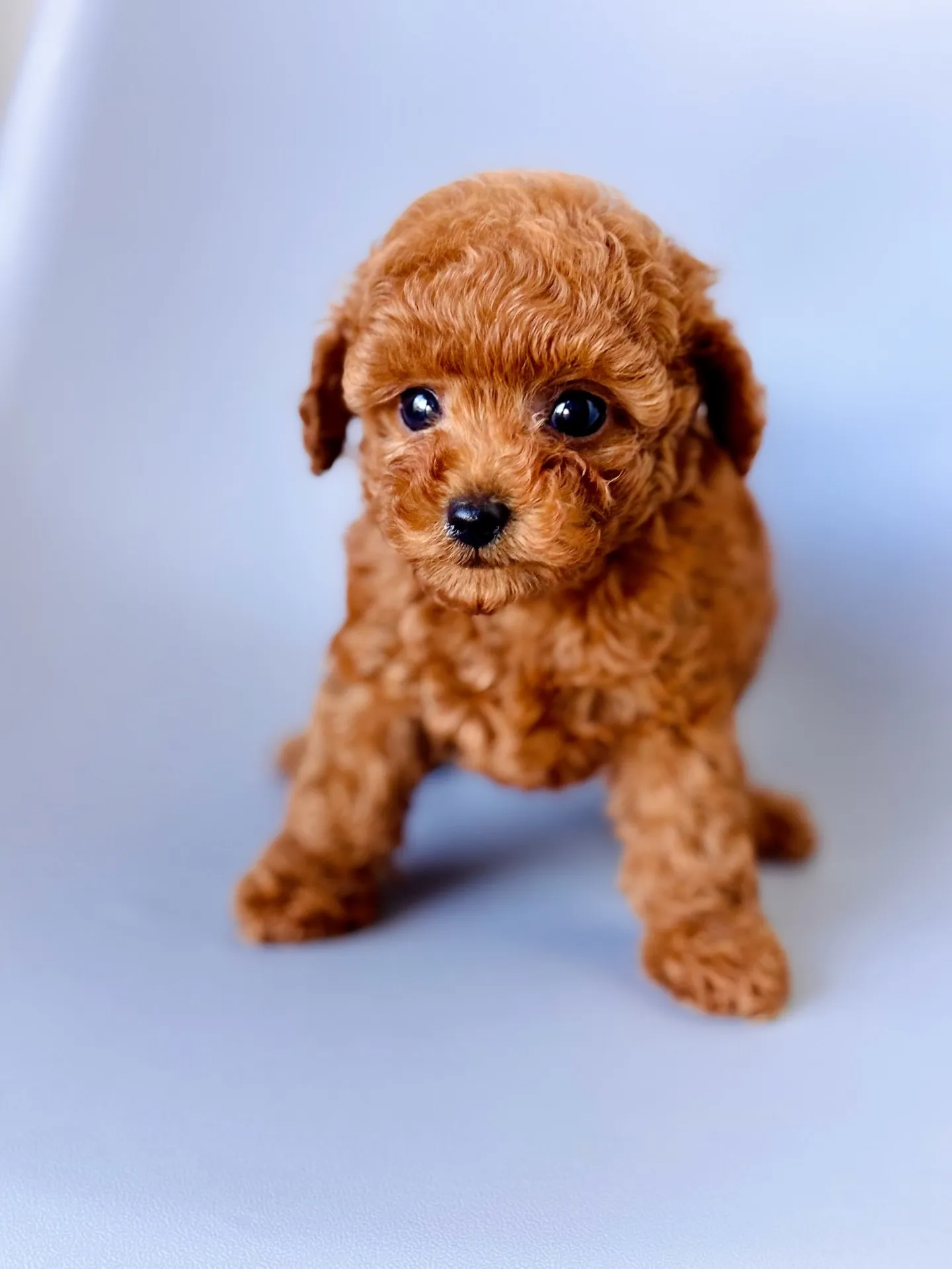 ⭐2025/11/20生まれ 男の子