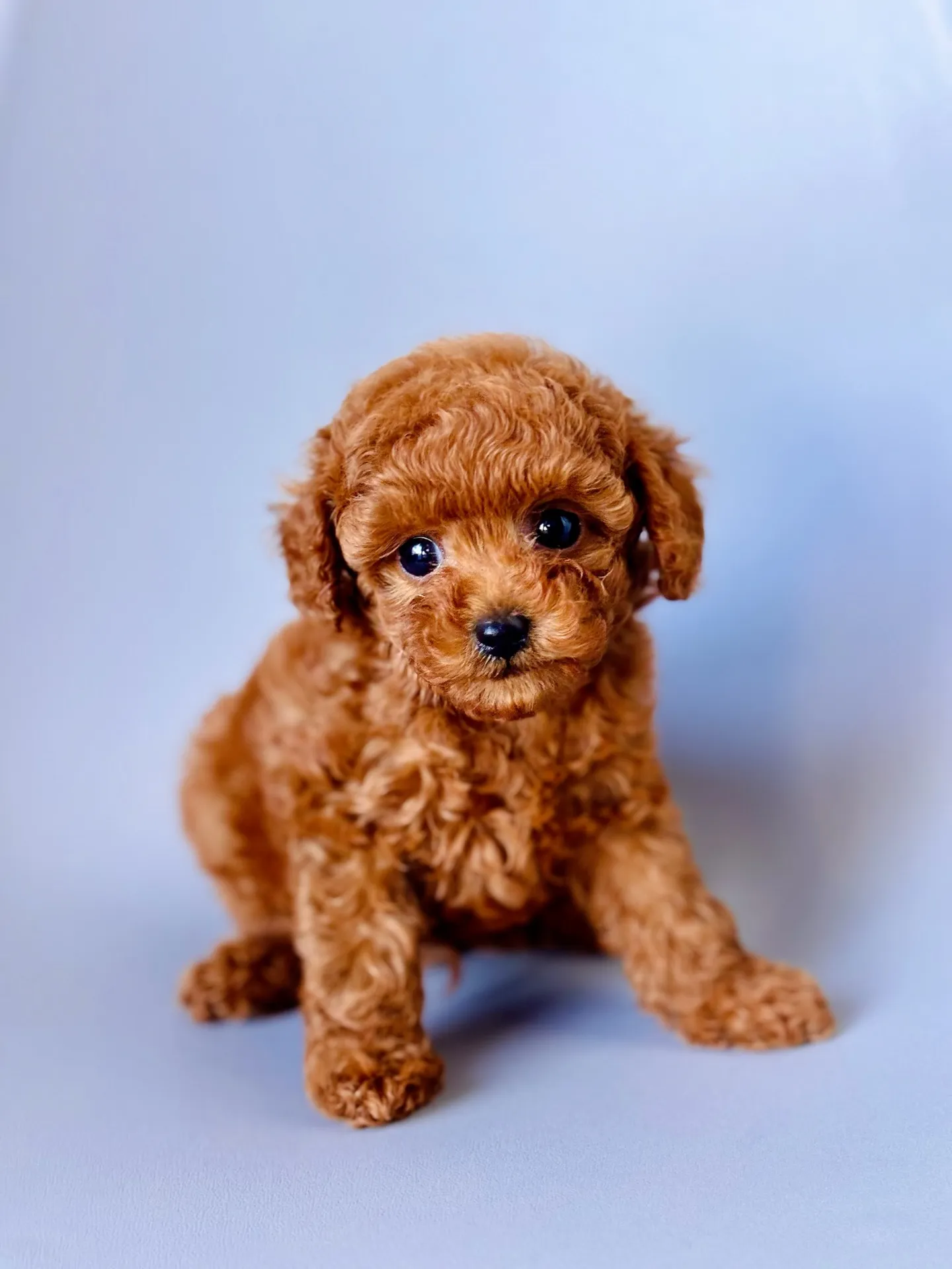 ⭐2025/11/20生まれ 男の子