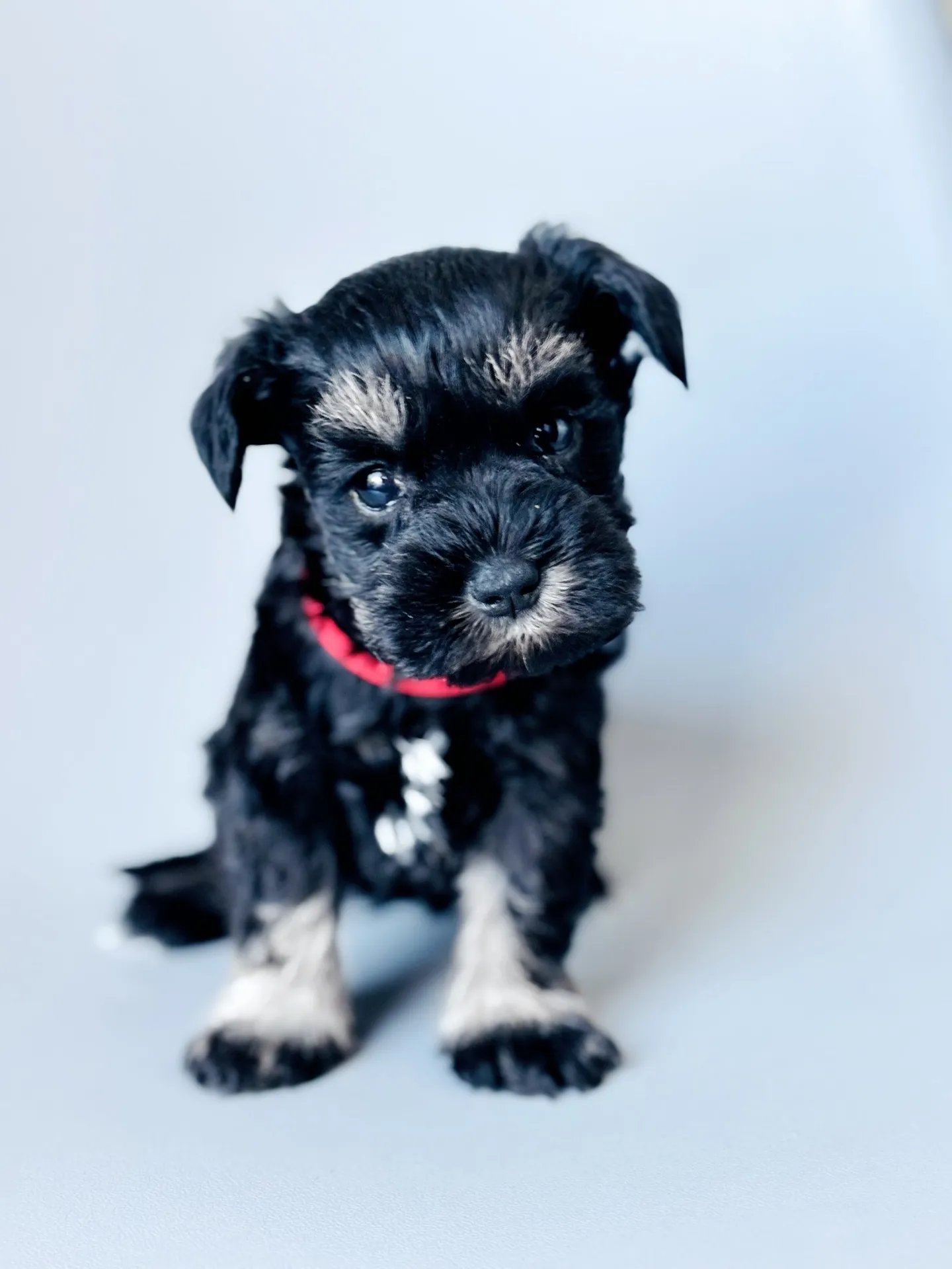 2025/12/12生まれ　女の子