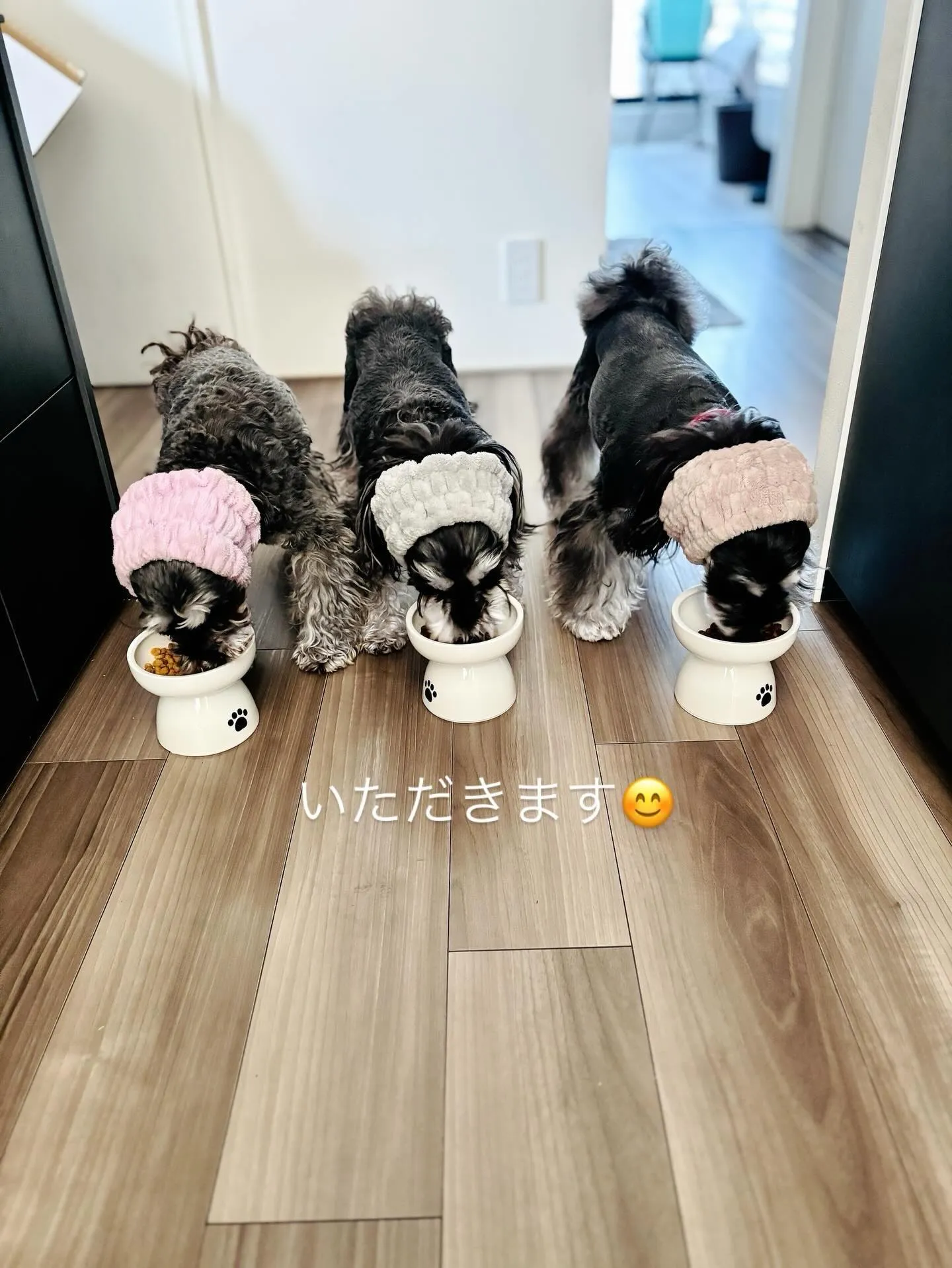 いただきます❣️