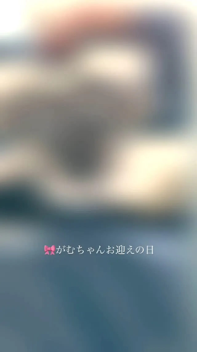 ひとめ惚れ😍家の子になってくれる？