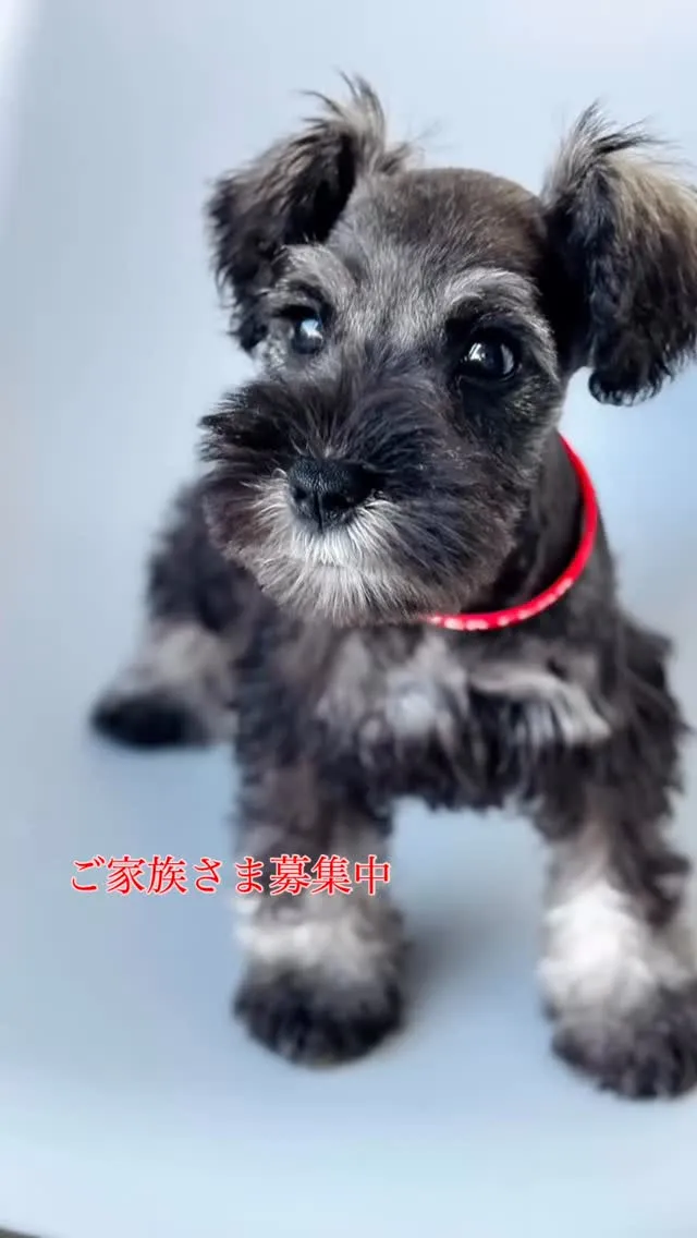 のんびりまったり系男子とびきりカッコイイ男の子❤️