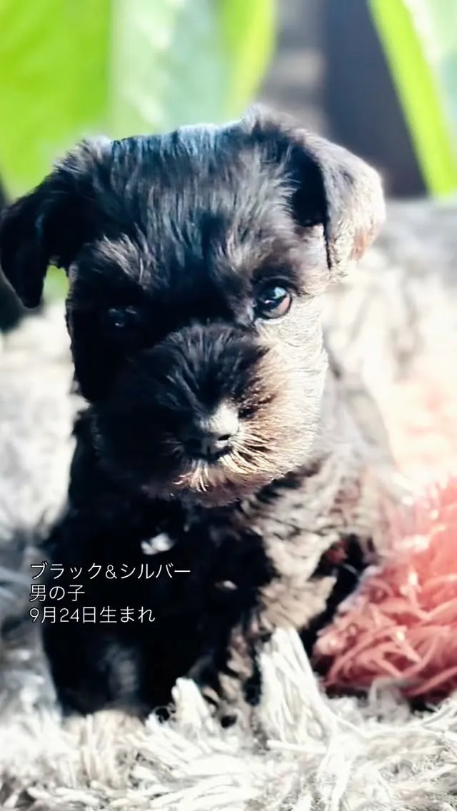 とびっきり可愛い男の子🥰