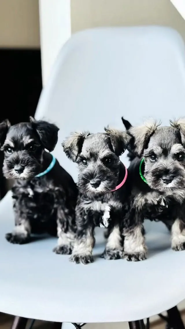 エリbabyの3人😊