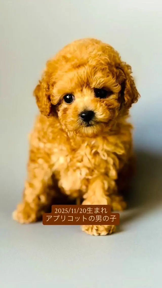 めっちゃ可愛い男の子💙