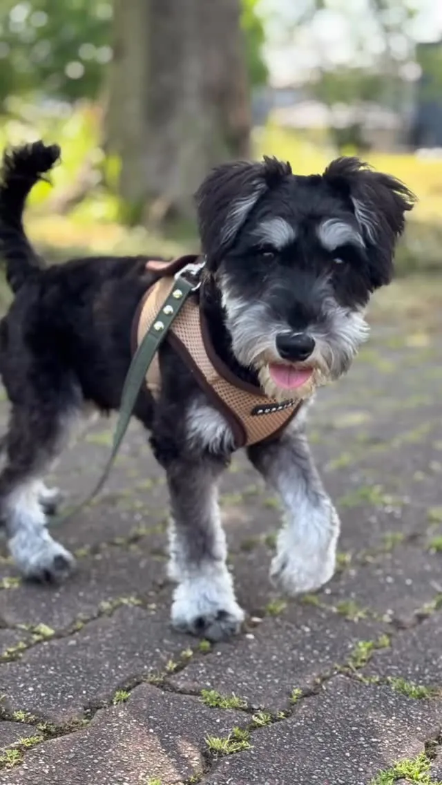 お里でお泊まり🏠