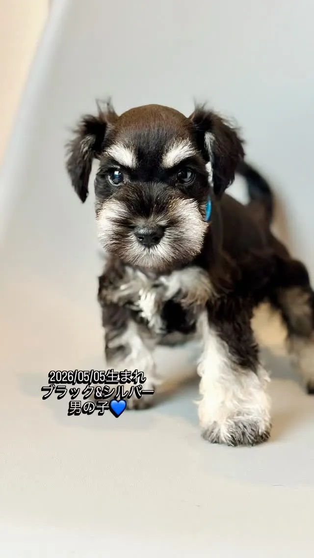 目ヂカラ抜群！めっちゃカッコイイ男の子💙
