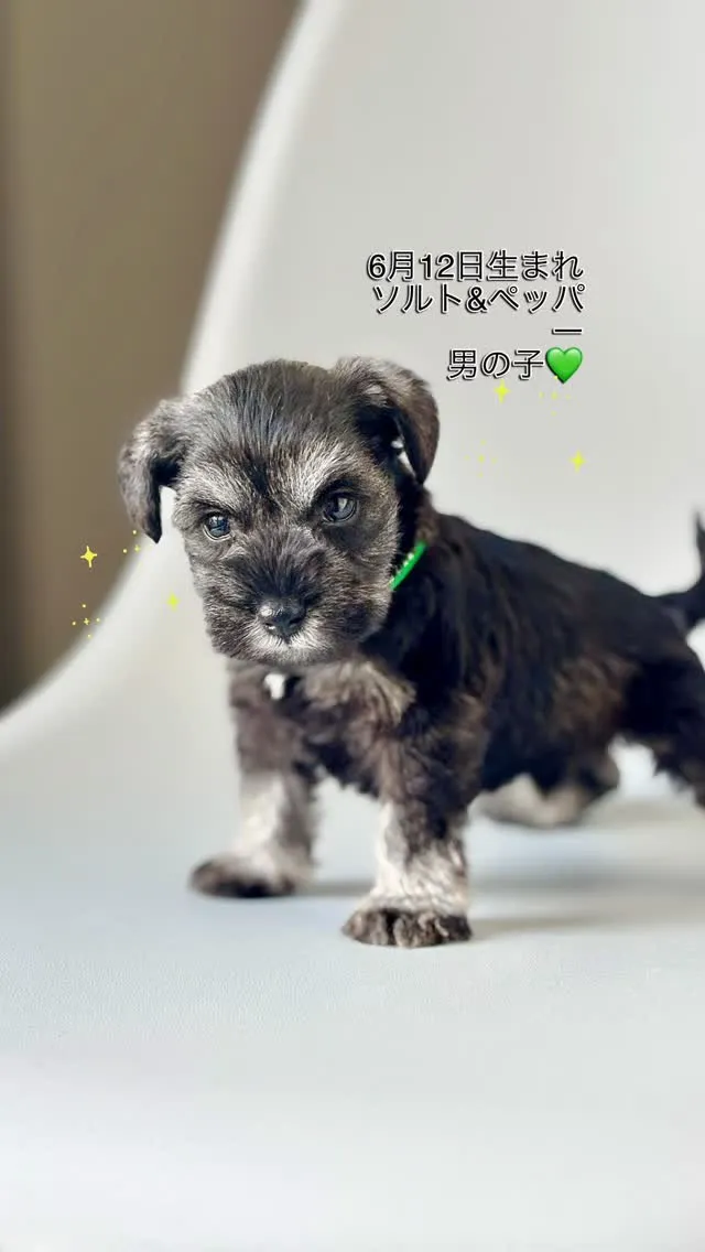 目ヂカラ抜群✨キラキラ大きな瞳にキュン💕